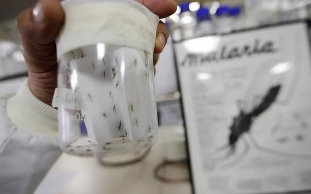 malaria