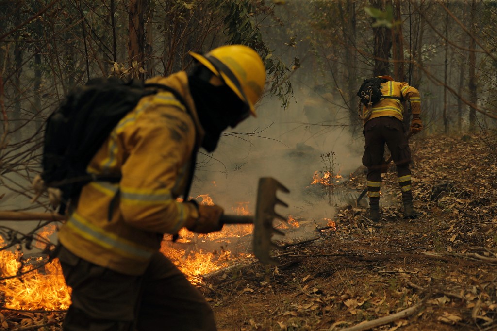 Veintidós muertos por incendios forestales en Chile