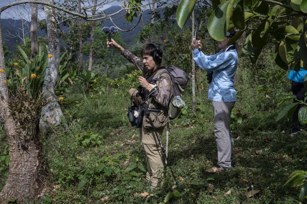 "Menos contaminación lumínica" claman conservacionistas de Venezuela en el Global Big Day