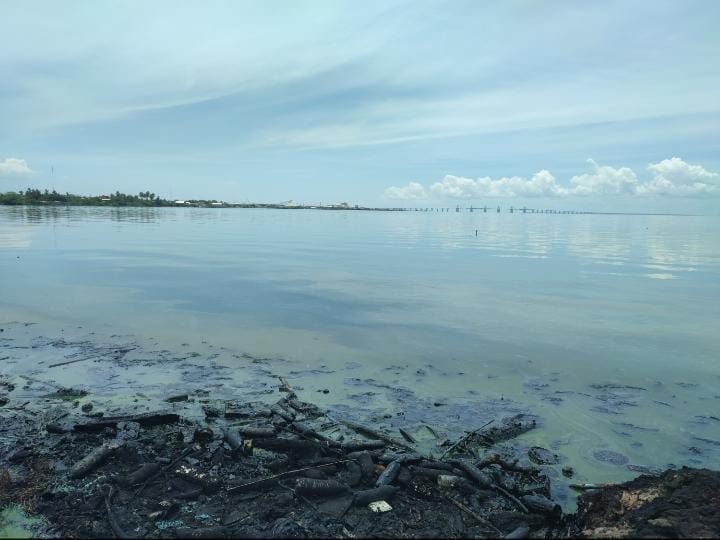 La Otra Batalla del Lago