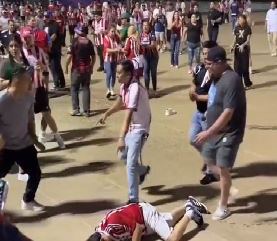 Aficionados de Chivas