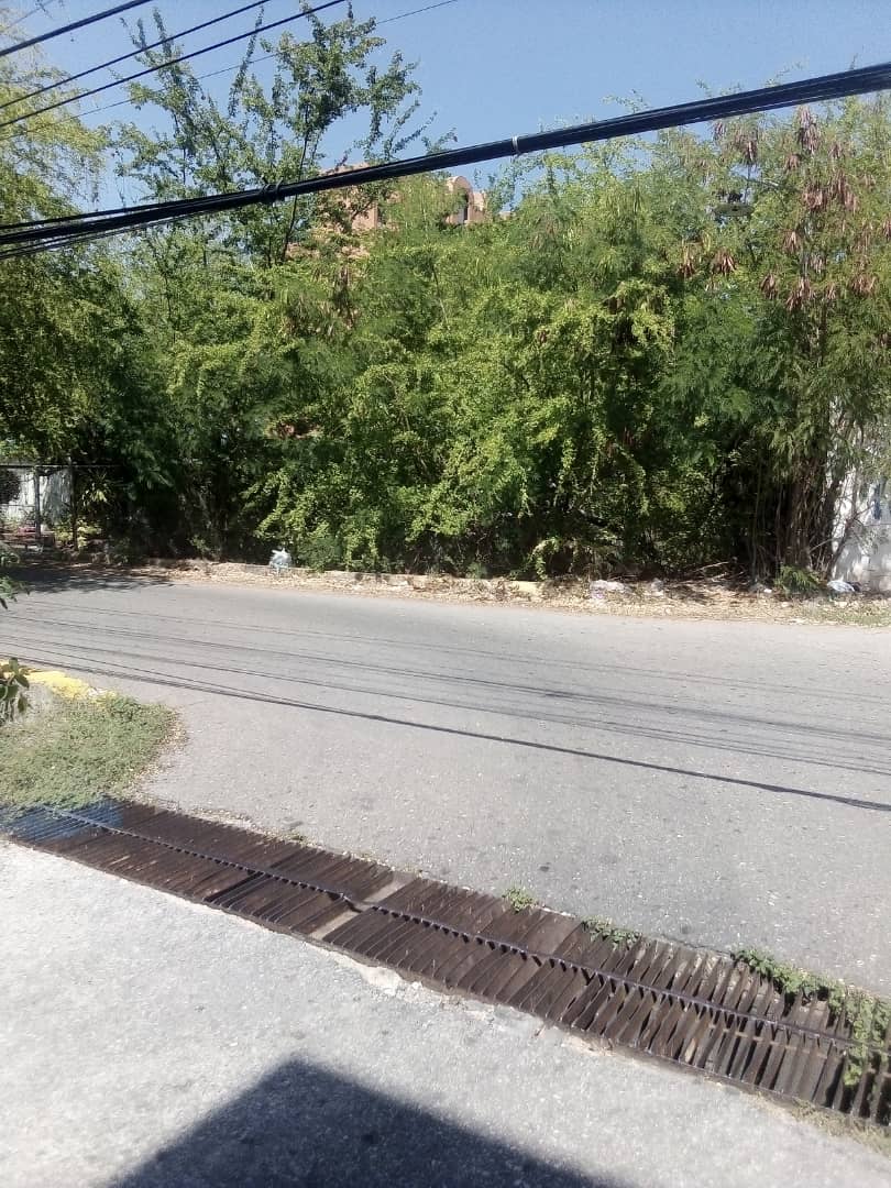 Vecinos preocupados por la limpieza de esta cañada