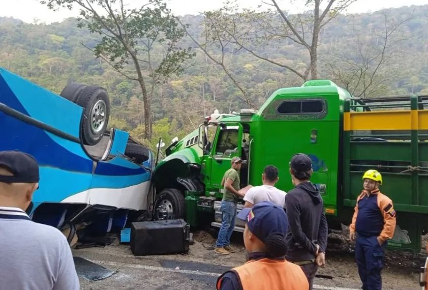 Ocho heridos dejó fuerte choque entre un autobús y una gandola cargada de ganado en la troncal cinco de Táchira