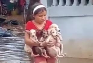 ¡De las malas situaciones surgen héroes!: Niña rescata cinco perritos durante las lluvias en Los Puertos de Altagracia