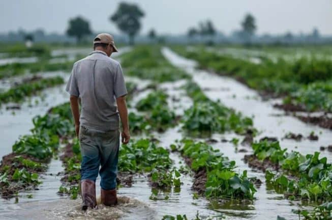 Agricultores deben estar alertas hasta julio
