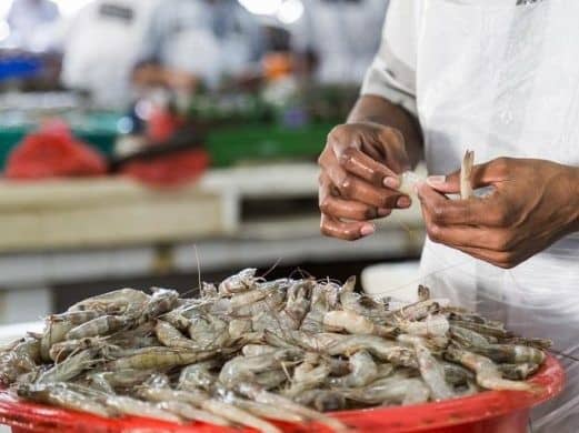 Venezuela podría terminar 2024 con una producción de 100 mil toneladas métricas de camarones