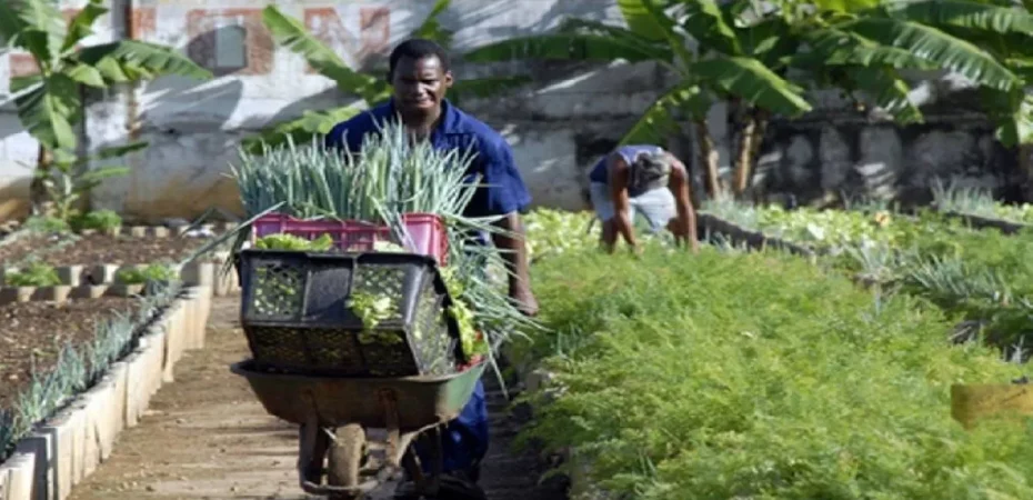 Venezuela promueve la formación de productores en agricultura urbana