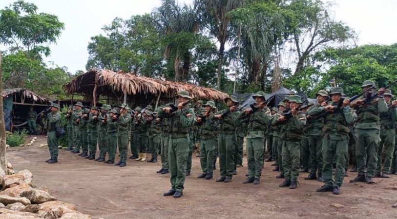 FANB incautó 20 kilos de marihuana y destruyó centro de acopio en el estado Sucre