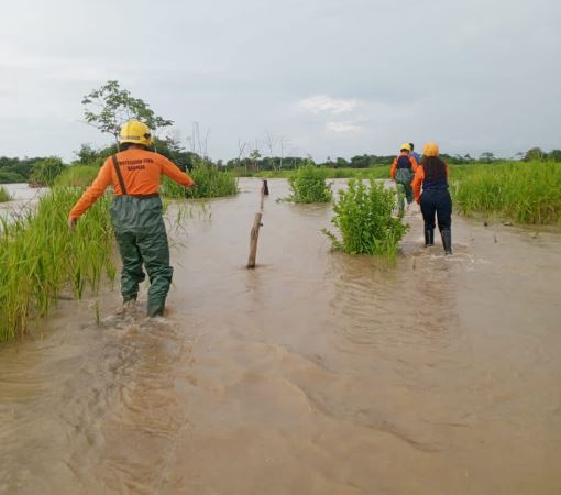 Al menos 20 viviendas resultaron afectadas tras fuertes precipitaciones y desbordamiento del río Santo Domingo en Barinas