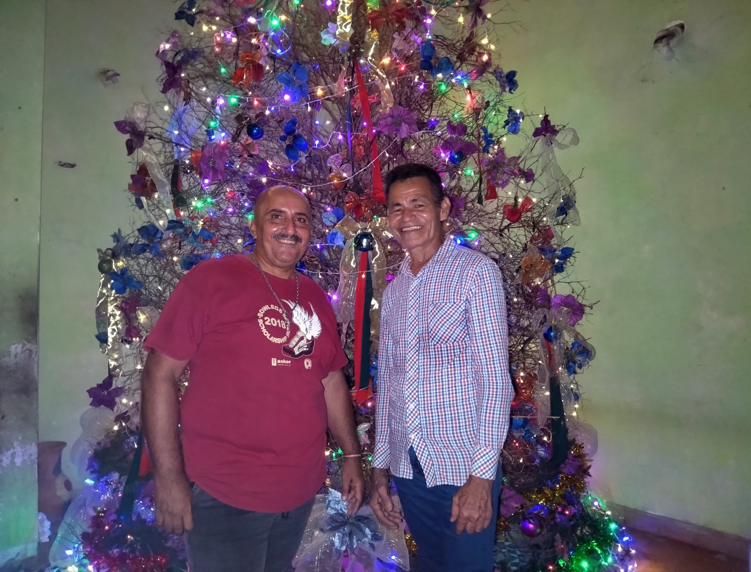 Cuatro metros de ingenio: Conozca el árbol navideño de la Calle Carabobo  hecho con material reciclado, image size:2560x1950