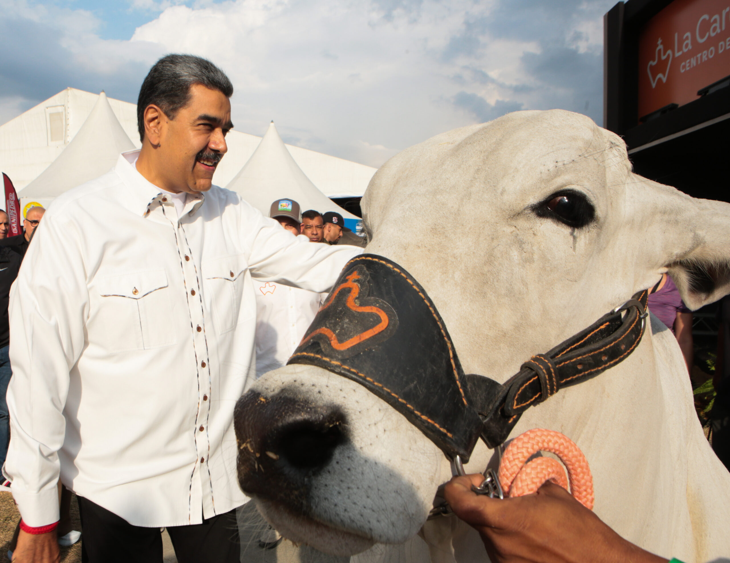 Venezuela es el tercer país en exportar genética ganadera en América Latina: 