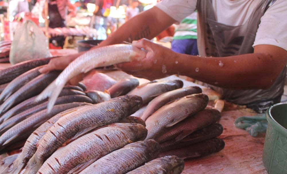 Pescado como “arroz” en Semana Santa: Los tres gobiernos realizarán ferias en las parroquias
