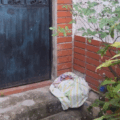 Abandonaron a bebé recién nacida en la puerta de una casa en Baruta