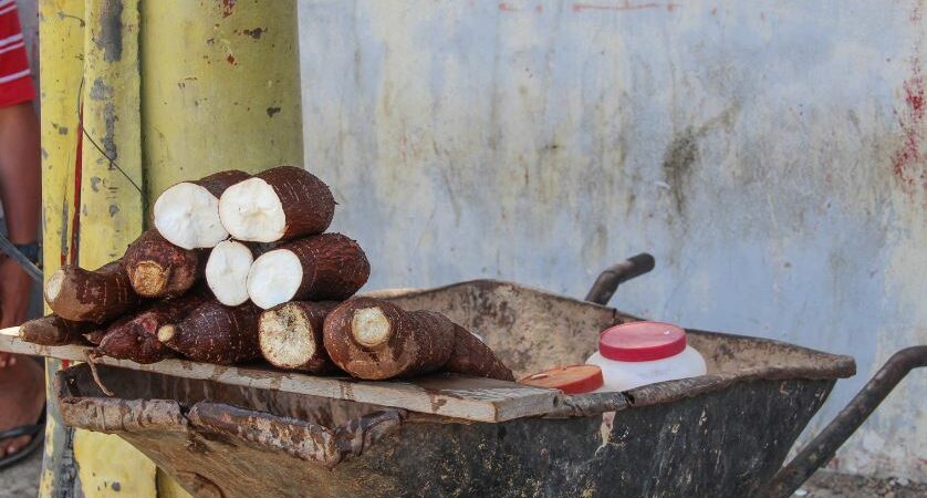 La yuca: Es el "saca apuros" o alternativa en la dieta diaria de los zulianos