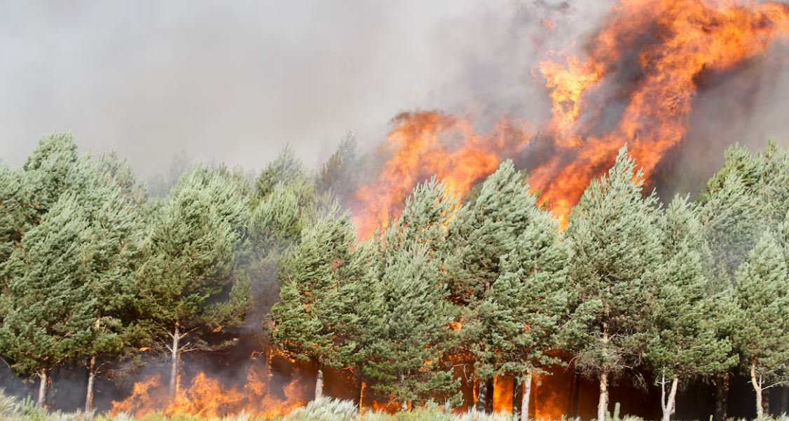 Unas 1.700 personas desalojadas tras los incendios en España