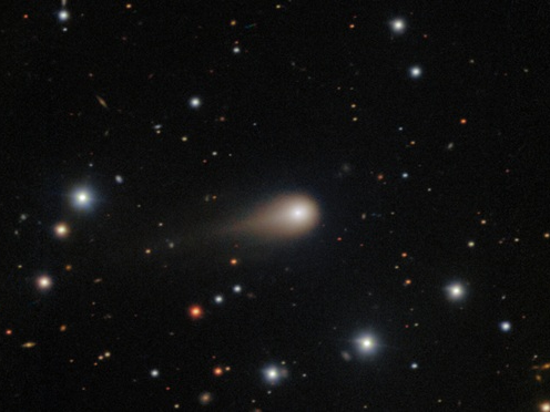 Muestran nuevas imágenes del extraño objeto interestelar que se acercará a la Tierra