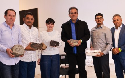 Descubren fósiles de ictiosaurio por primera vez en el país