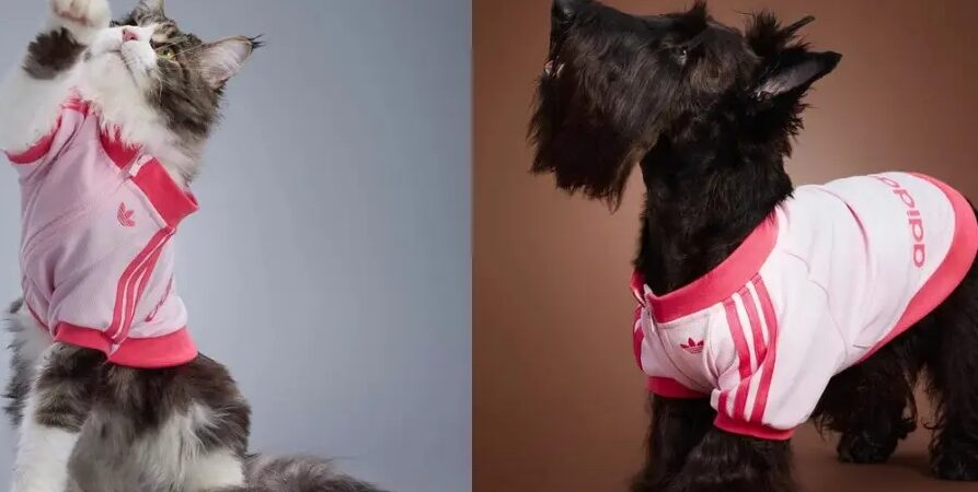 La colección más adorable: Adidas viste a perros y gatos