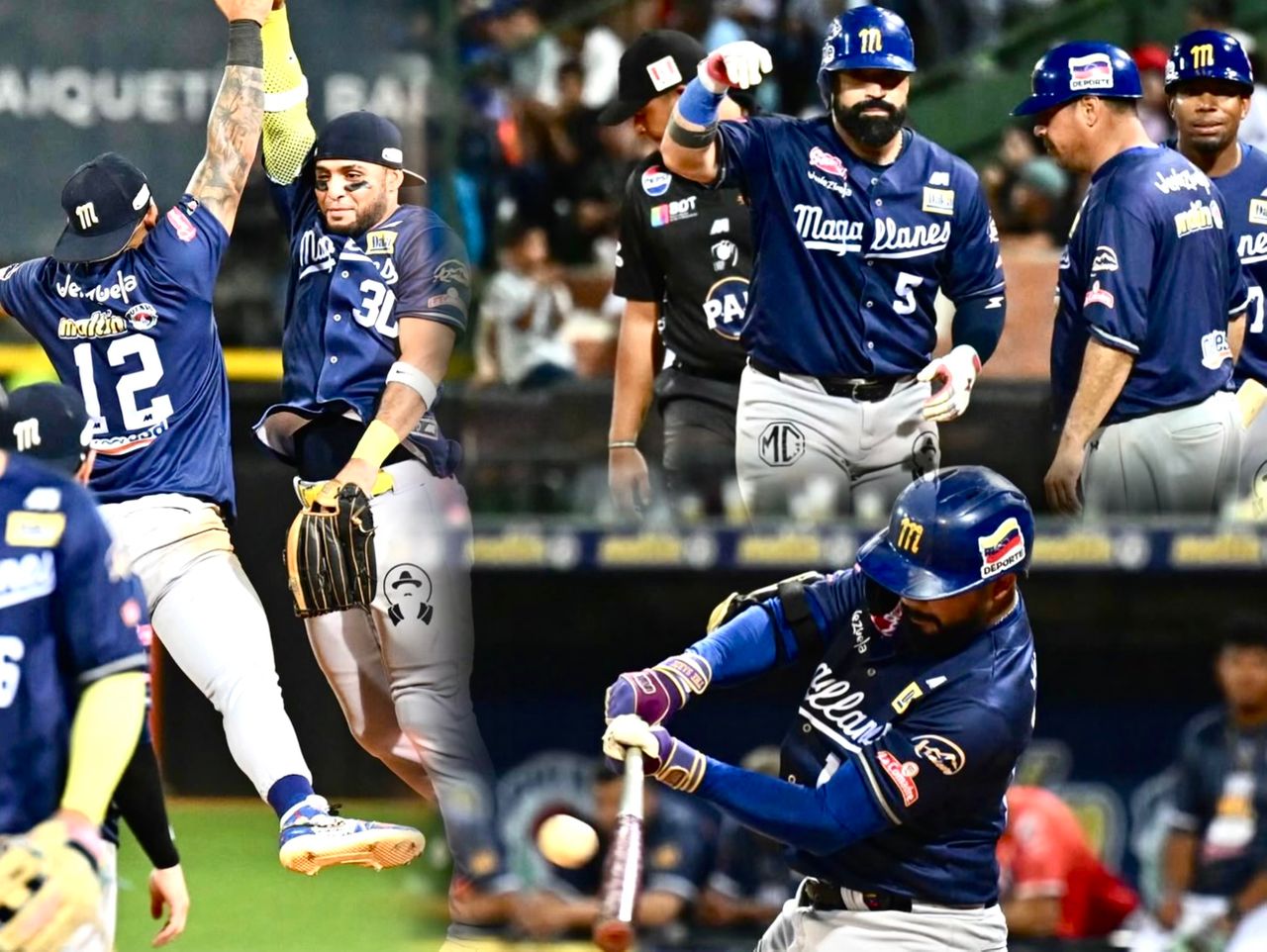 Magallanes