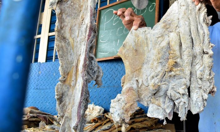 Incautaron 216 kilos de carne de chigüire y babilla en operativos en cuatro estados del país