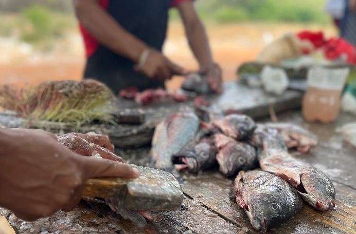 Consumir pescado en Semana Santa: Tradición religiosa y cultura culinaria que mantienen los zulianos
