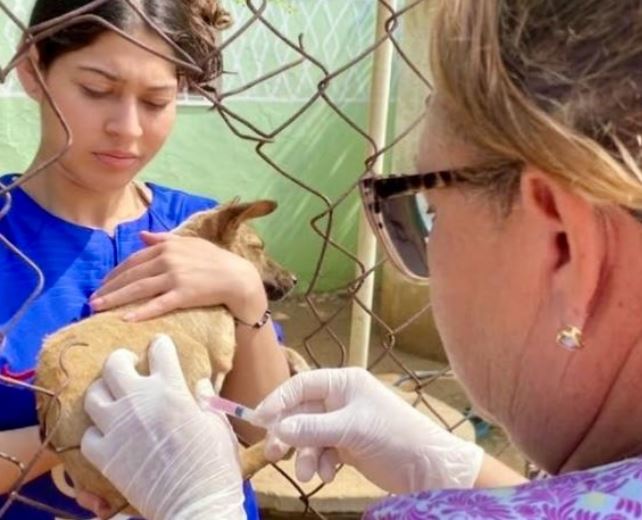Ministerio de Salud y Gobernación del Zulia impulsan Plan de Vacunación Canina ‘Huellas Seguras’ en Maracaibo y San Francisco