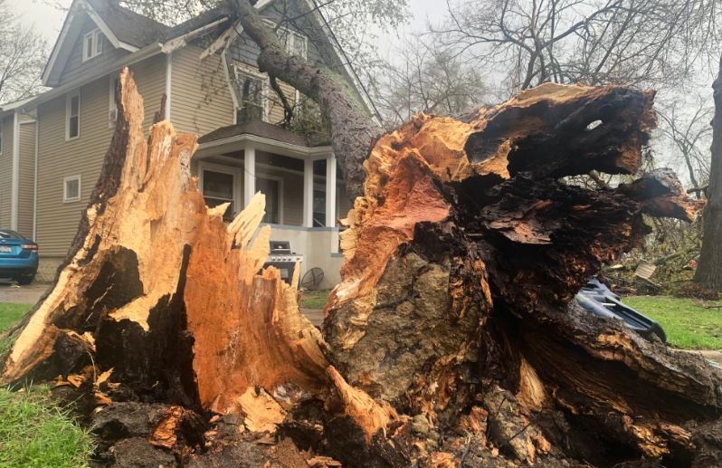 Tormentas eléctricas azotan Michigan y dañan dos pistas de hielo y otras estructuras