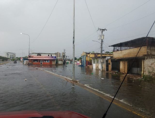 Reportan sectores inundados tras las precipitaciones en Maracaibo: Autoridades activas en constante monitoreo
