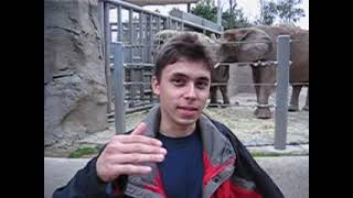 Del "Me at the zoo" al imperio del algoritmo