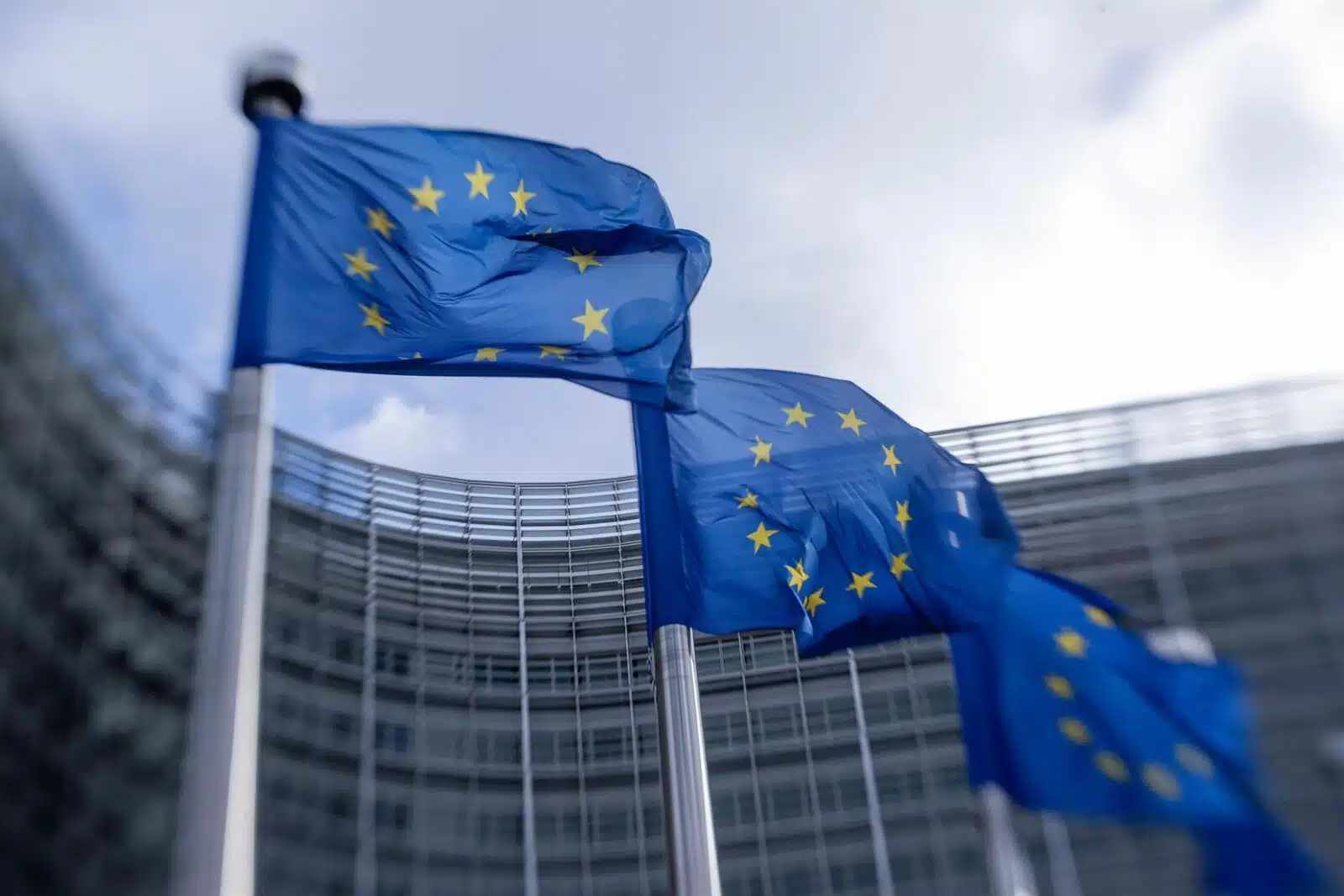 La UE presenta nuevo reglamento para importación de café y cacao a productores venezolanos