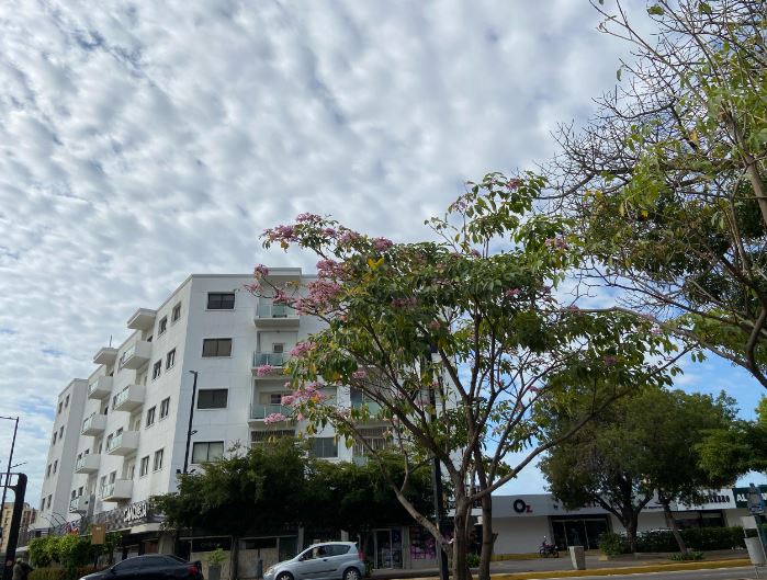 Dos nuevas ondas tropicales se aproximan al país