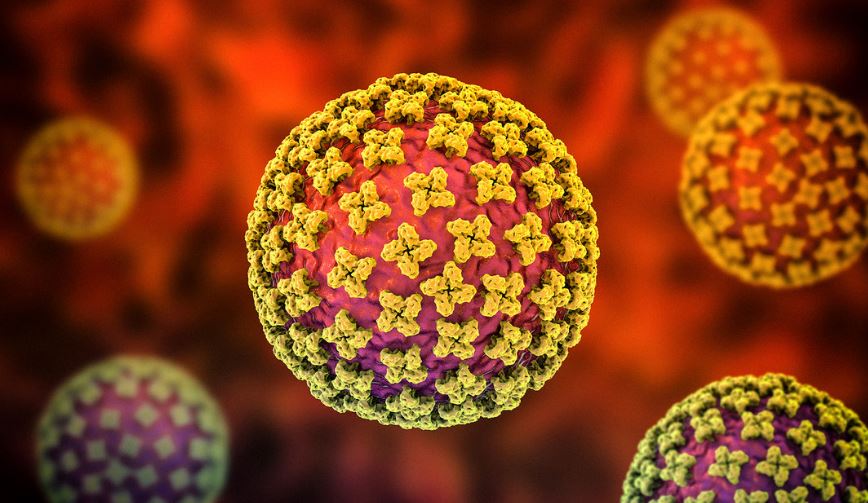 Lo que hay que saber sobre el hantavirus