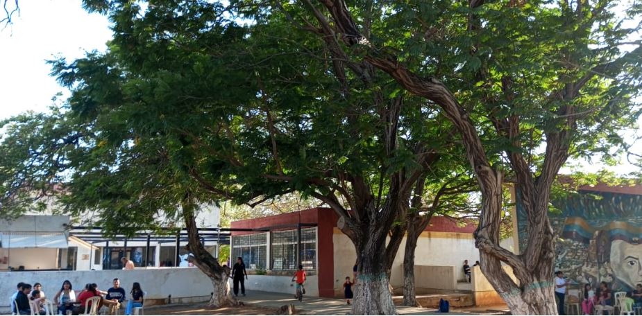 Cuna del realismo social en Venezuela: Gobernación restauró la Casa Museo de Gabriel Bracho