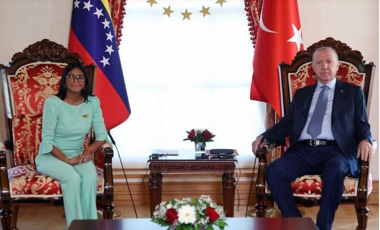 Presidenta (E) Delcy Rodríguez se reúne con el presidente de