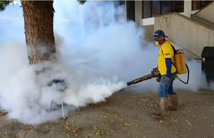 Alcaldía de Maracaibo ejecutó fumigación en las parroquias Santa Lucía y Olegario Villalobos