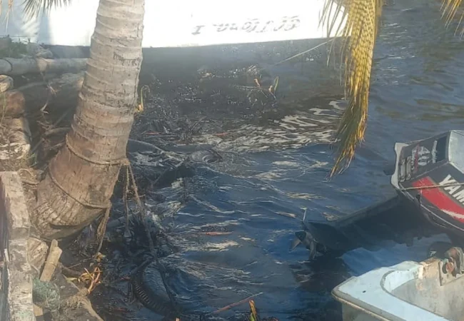 Derrame masivo de crudo en Valmore Rodríguez denuncia Azul Ambientalista: Exigen usar el 5 % de regalías petroleras para el rescate del Lago de Maracaibo