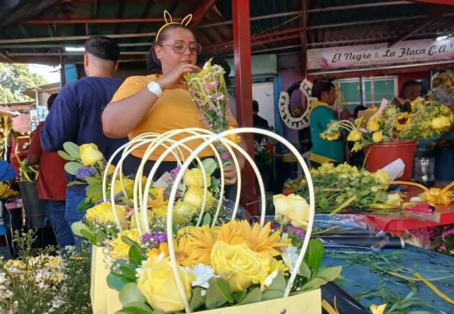 Furor en Maracaibo por la celebración del Día de las Flores Amarillas