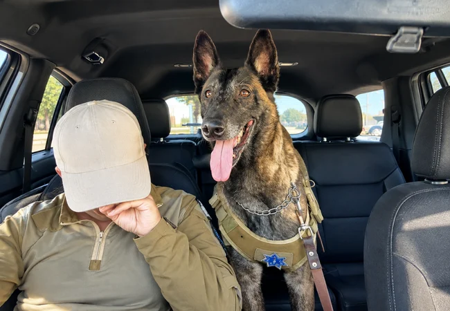 Héroes de cuatro patas: Conmovedor adiós a la perrita Bruma tras una década de labor policial en México