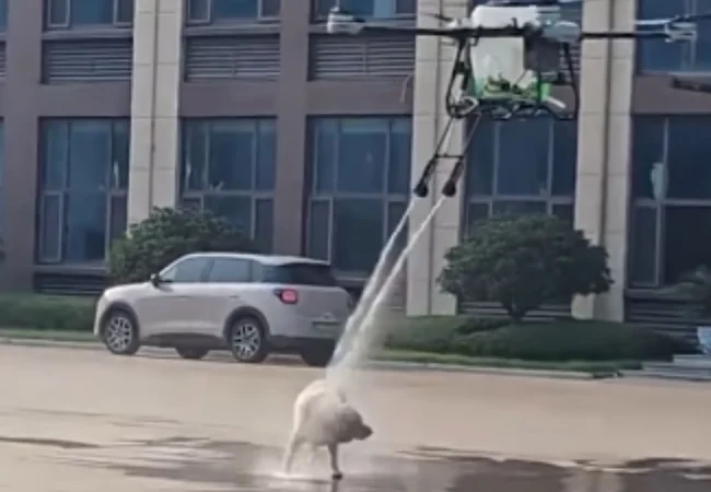Diseñaron un dron para limpiar paneles solares y terminó bañando a un perro