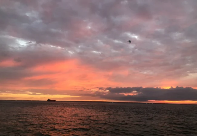 Cuando el Lago despierta: El espectáculo dorado que ilumina al pueblo zuliano