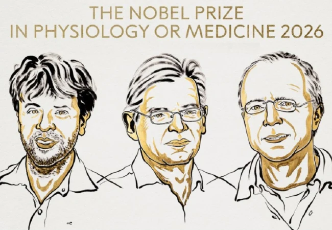 El Nobel de Medicina premia a los fundadores de una nueva era en la neurociencia con el desarrollo de la optogenética: Deisseroth, Hegemann y Nagel