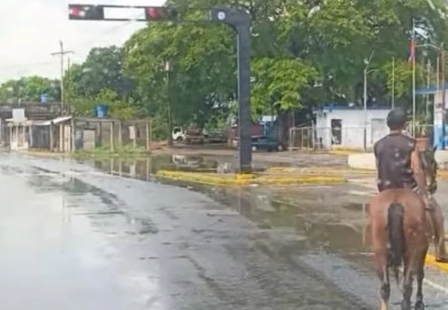 Un jinete respeta el semáforo en Mene Grande: El video viral que da lecciones de tránsito